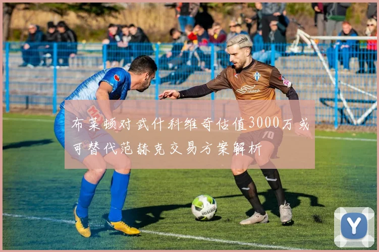 布莱顿对武什科维奇估值3000万或可替代范赫克交易方案解析