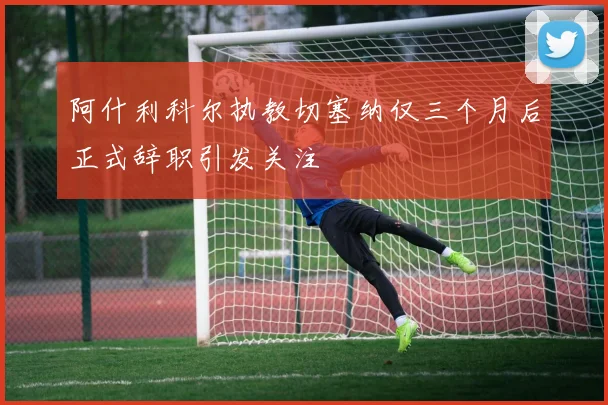 阿什利科尔执教切塞纳仅三个月后正式辞职引发关注