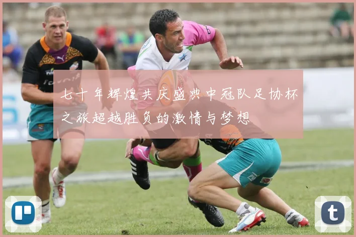 七十年辉煌共庆盛典中冠队足协杯之旅超越胜负的激情与梦想